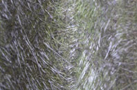 Lower Twydall fibreglass roof work